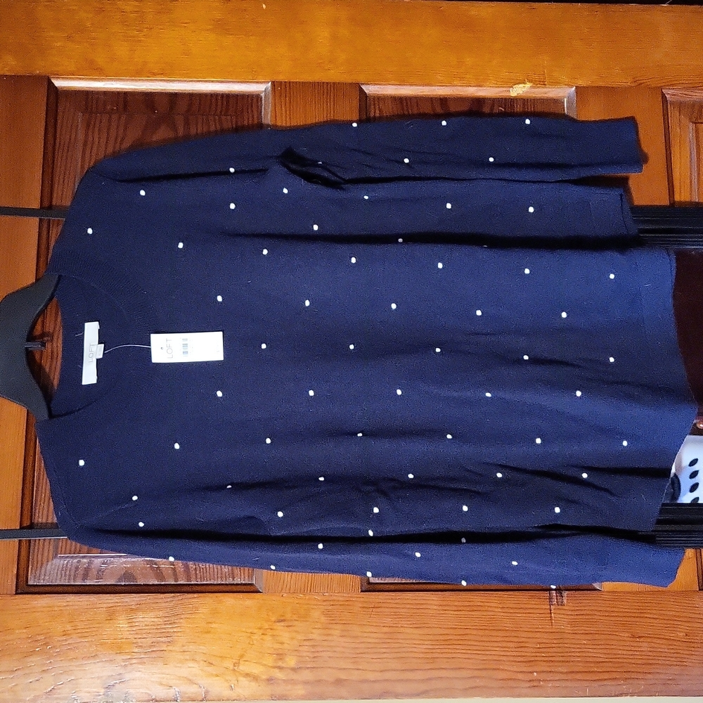 NWT Loft Navy Sweater
